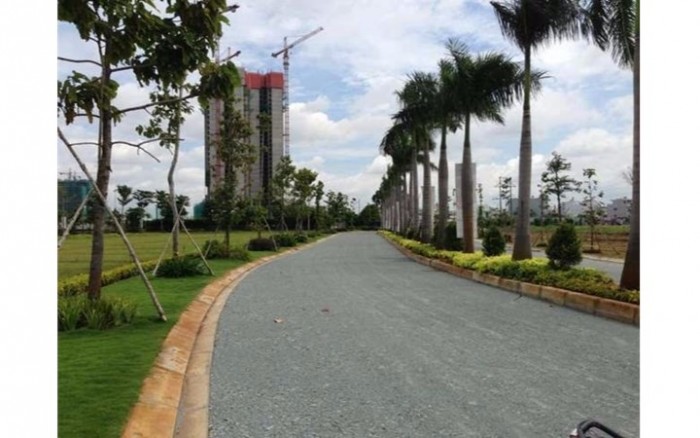 Đất nền dự án Green Reverside City, Bình Chánh, Thổ cư 100%, SHR