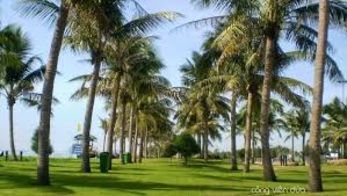 Bán căn hộ resort ven sông Gò Dưa trục đường Phạm VĂn Đồng