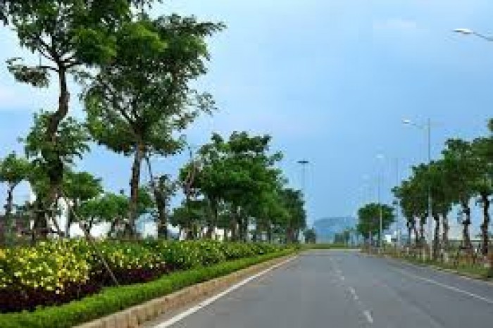 Sunland chào bán đại lộ Nguyễn Phước Lan, thuộc khu đô thị sinh thái Hòa Xuân