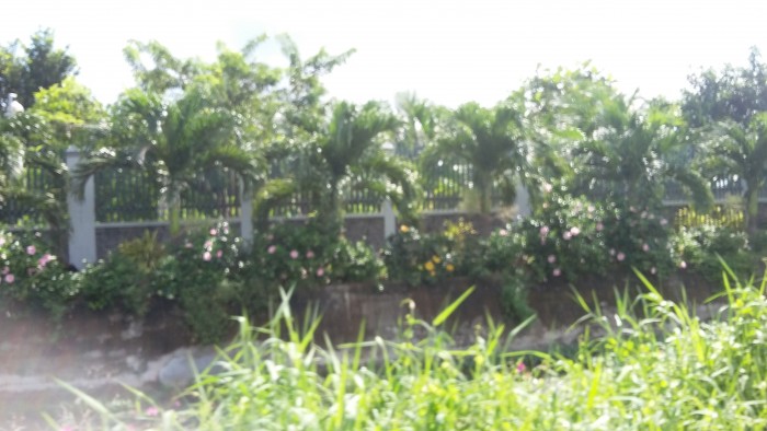 Đất xây nhà ở dt 100m2, hẻm Quốc Lộ 50 xã Phong Phú_ Bình Chánh