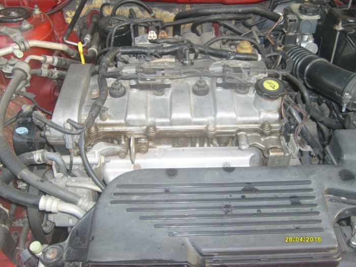 Ford Laser At -203 xe cọp