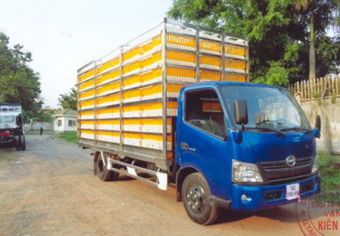 Xe tải chở gia súc, gia cầm