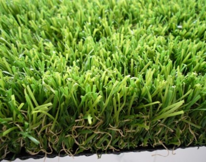 Chuyên cung cấp các loại cỏ trang trí, cỏ sân vườn, có golf2