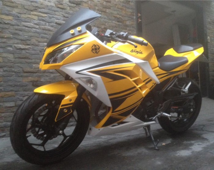 Cần bán kawasaki ninja 300 ABS 2016