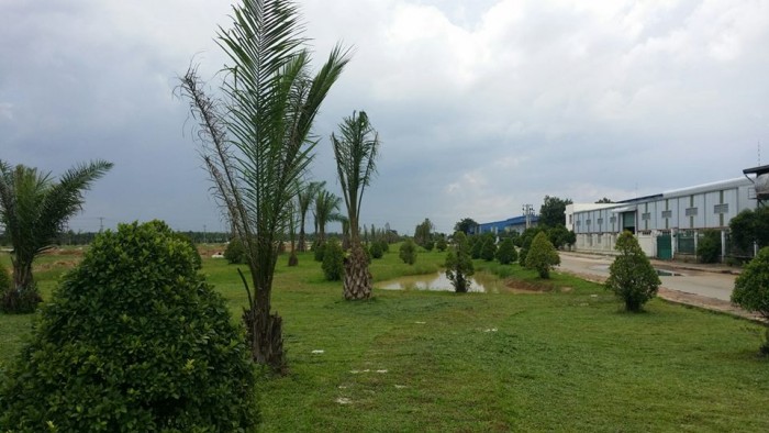 Đất dự án khu dân cư mới- 225 Nguyễn Văn Bứa, Hóc Môn