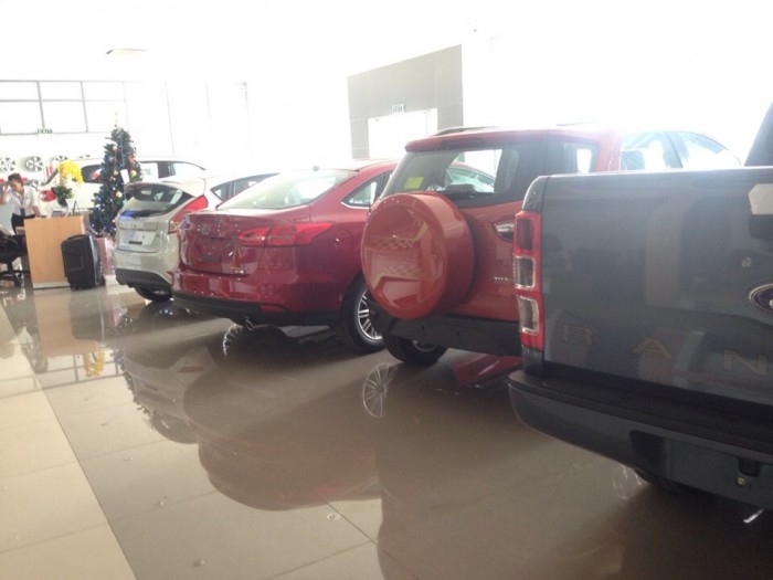 Fiesta, Focus, Ecosport, Ranger.