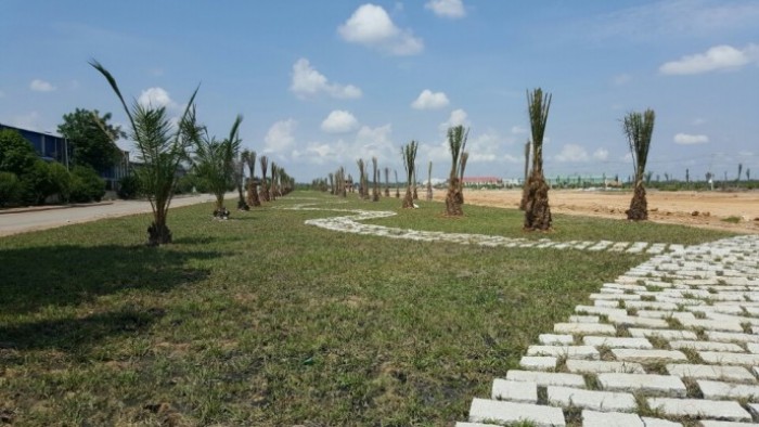 Đất nền Bình Chánh MT tỉnh lộ 10