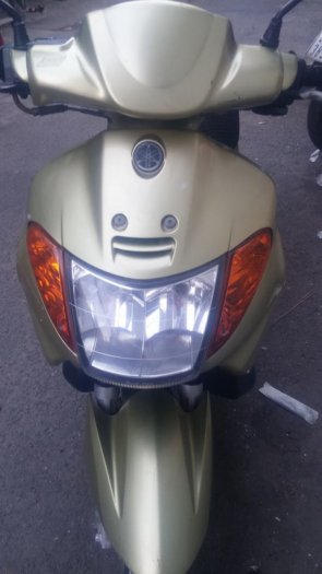 Nouvo 1 màu xám số tp