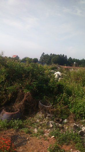 Bán 3800 m đất tại bửu hòa biên hòa 5,7 tỉ