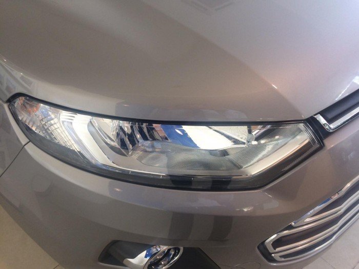 Mua Ford Ecosport giá rẻ tại TPHCM, hỗ trợ mua xe trả góp