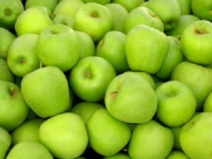 Chuyên cung cấp giống cây táo thái lan,táo thái lan,táo thái,giống táo thái ,táo,số lượng lớn5