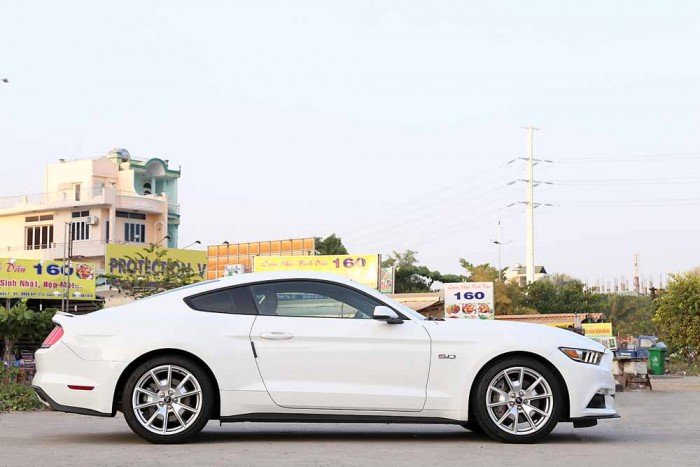 Ford Mustang GT 5.0L V8 50Years Edition...