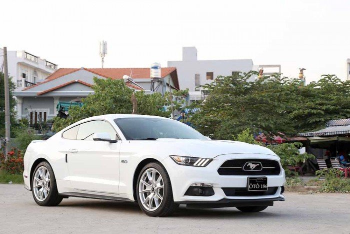 Ford Mustang GT 5.0L V8 50Years Edition...