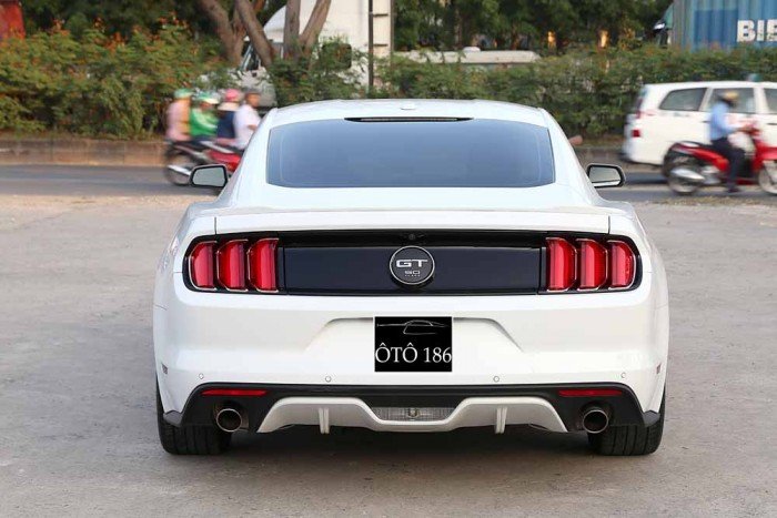 Ford Mustang GT 5.0L V8 50Years Edition...