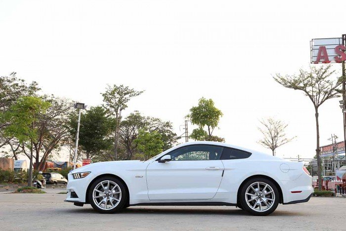 Ford Mustang GT 5.0L V8 50Years Edition...