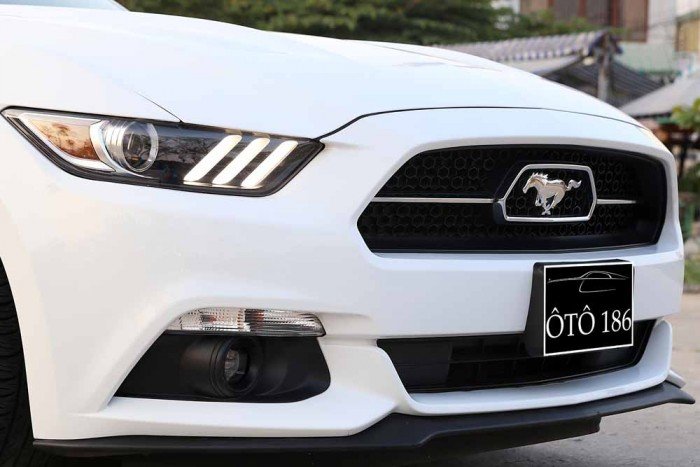 Ford Mustang GT 5.0L V8 50Years Edition...