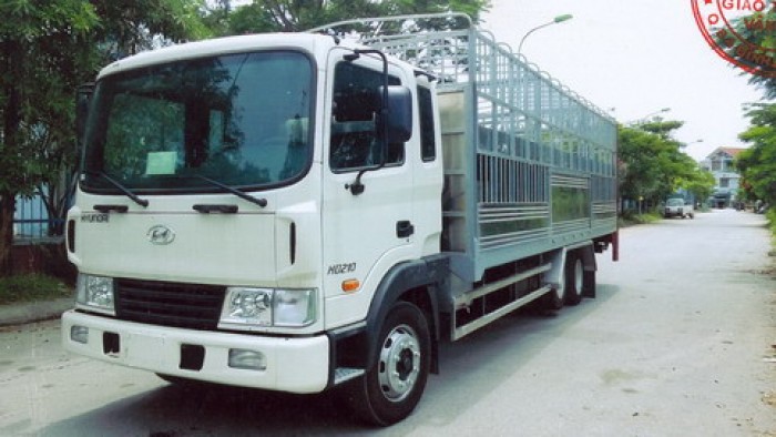 Xe tải HYUNDAI HD 210 chở gia súc