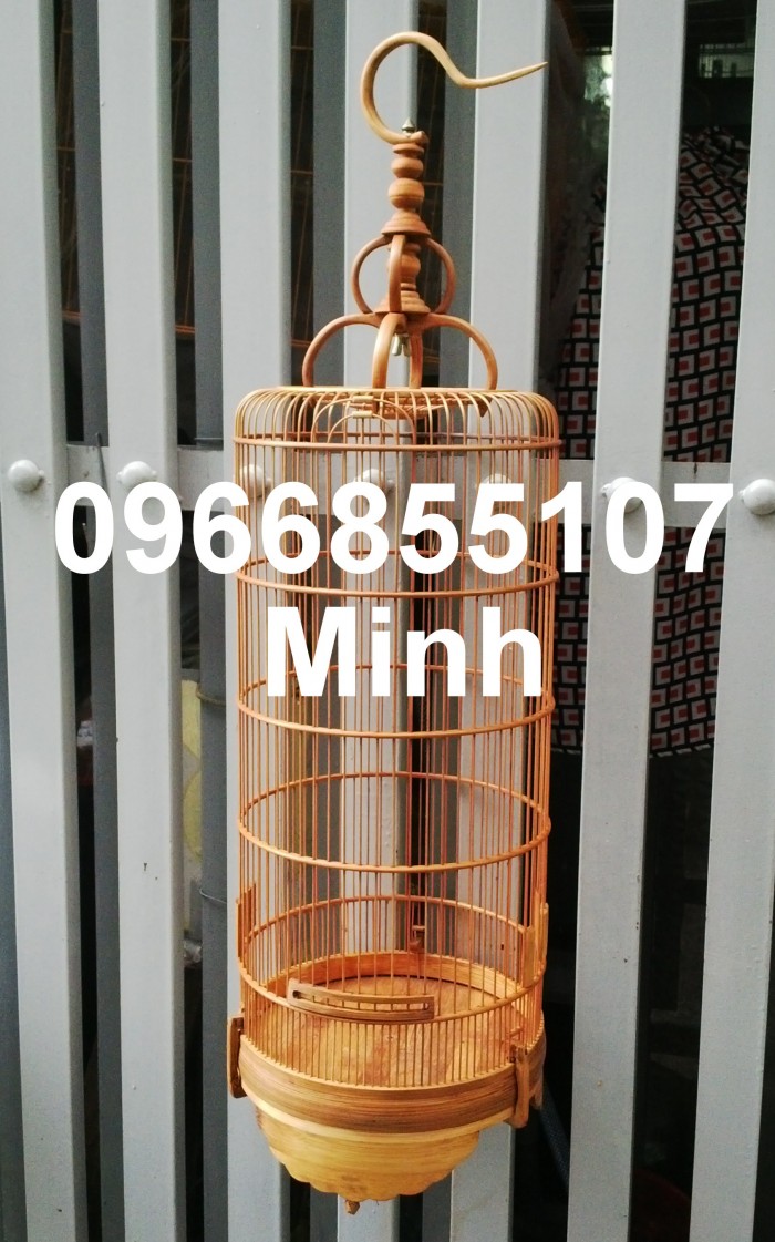 Top hơn 51 về mô hình nuôi ốc mít mới nhất  cdgdbentreeduvn