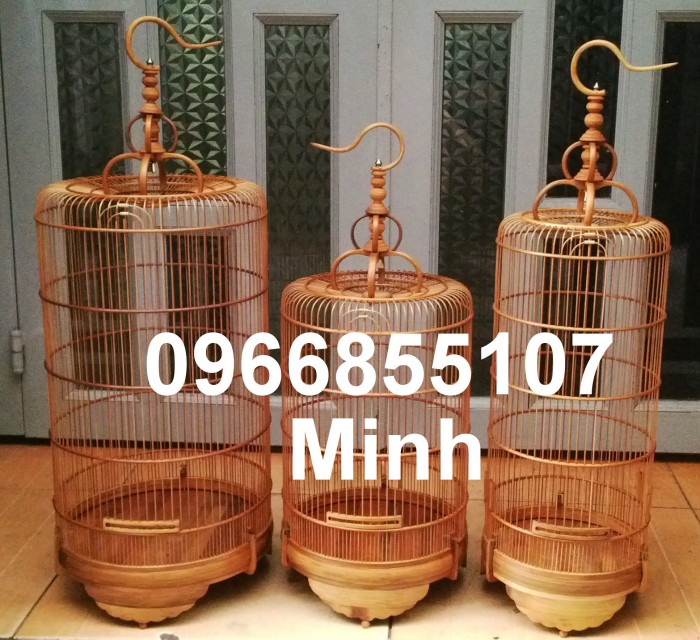 Bán chim ốc mít chuyền thuộc mồi  các mẫu lồng chim ốc mít hút mật chạm  3D đẹp  5giay