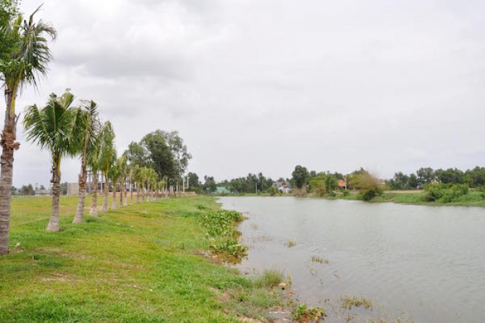 Thanh Lý Gấp 2 Lô Đất Ngay Bình Chánh