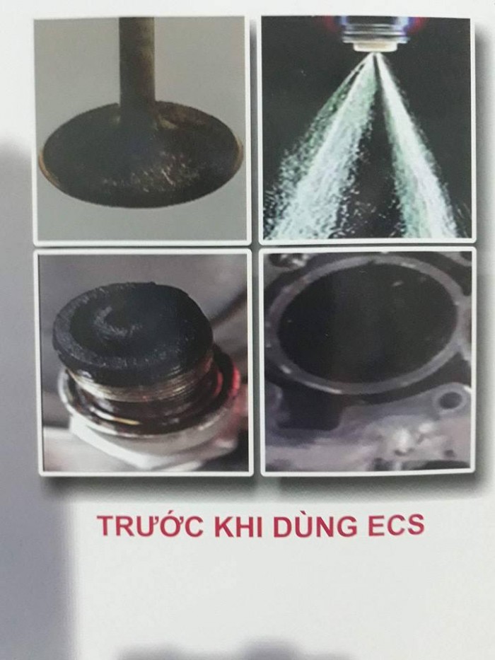 Dung dịch làm sạch buông đốt động cơ xe máy (ecs) nhập khẩu từ đức