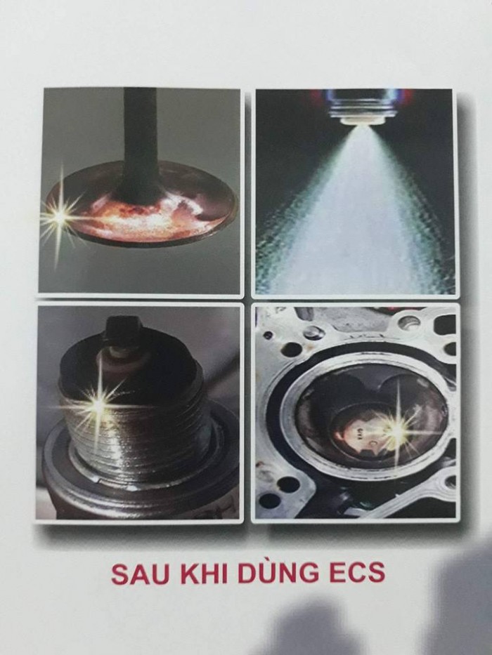 Dung dịch làm sạch buông đốt động cơ xe máy (ecs) nhập khẩu từ đức