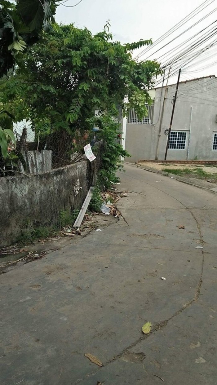 Đất nền Chánh Mỹ