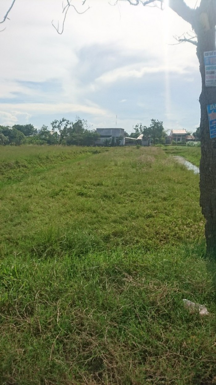 Đất Bình Chánh,Bán gấp 1600m2, 1,250 tỷ đường Nguyễn Văn Thời