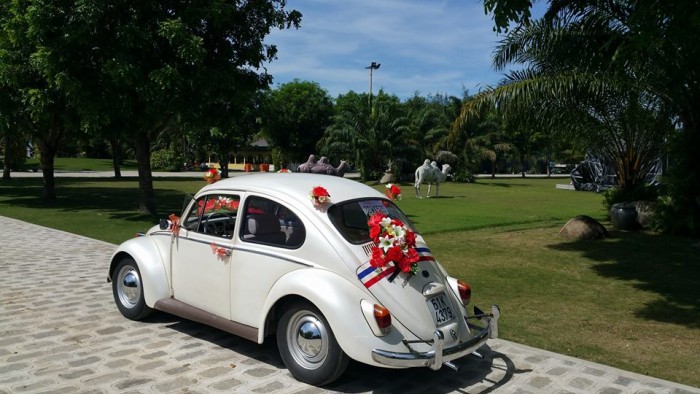 Bán xe Volkswagel beetle