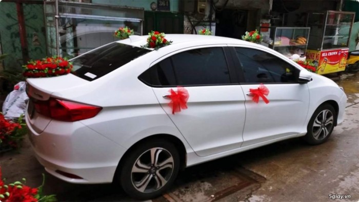 Cho thuê xe tự lái 5 chỗ honda city,vios 2017 màu trắng,
