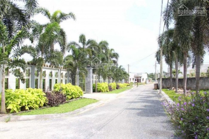 Bán Đất nền , sổ hồng riêng , xây dựng tự do.Giá 300tr/100m2