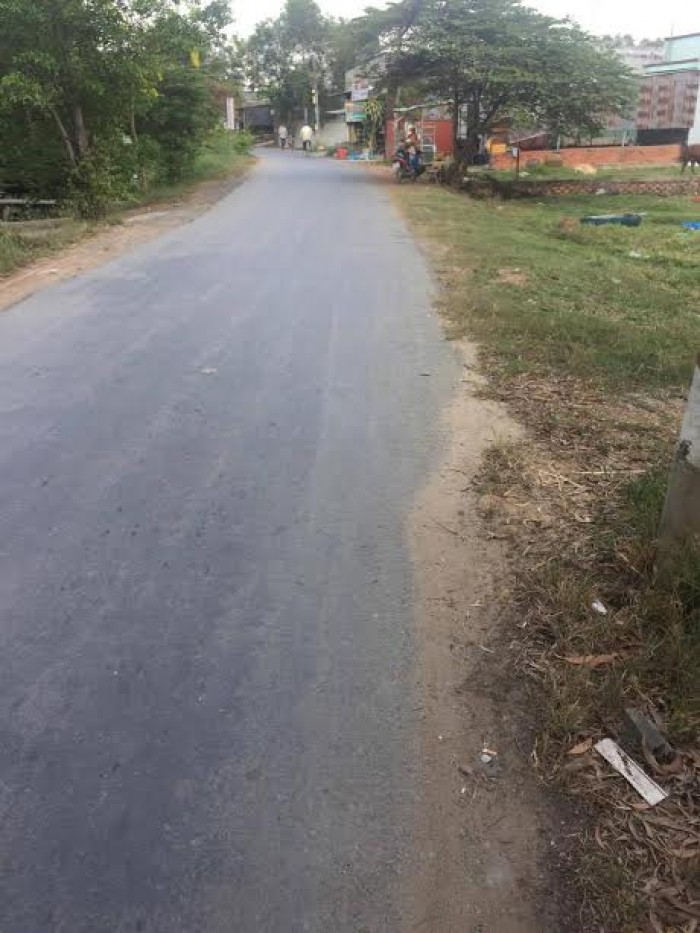 Đất Mặt Tiền Bán Gấp, 3729M2, Giá 4,8 Tỷ, Hưng Long, Bình Chánh
