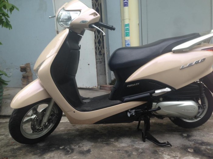 Honda Lead fi màu vàng hột gà hình thật, giá rẻ