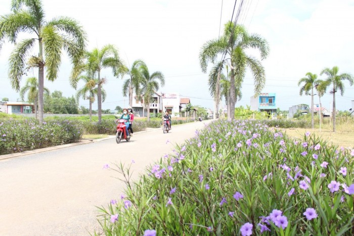 Đất thị trấn Bến Lức chuyên xây trọ, kinh doanh ngay KCN Thuận Đạo