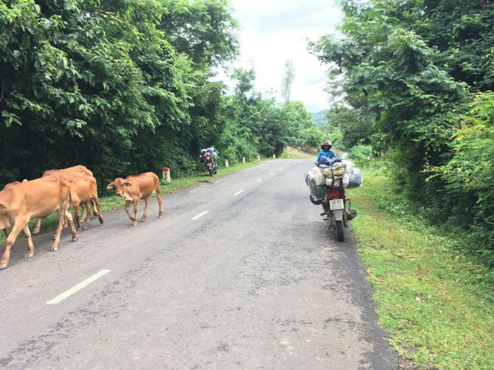 Bán xe Honda Fortune đã lên nhiều đồ - chuyên phượt
