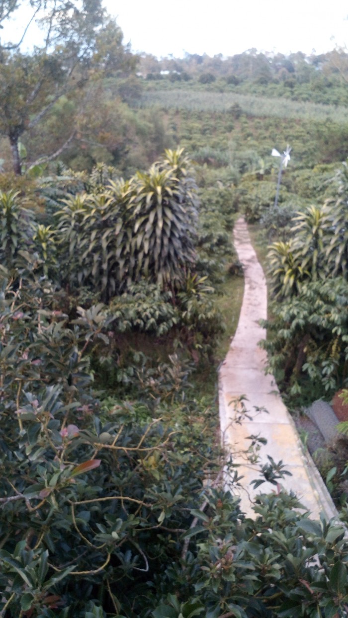Bán biệt thự sân vườn thiết kế đẹp - tỉnh Lâm Đồng - giá: 5 tỷ