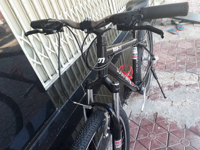 Xe đạp địa hình Louis Garneau (Canada)