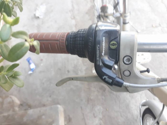 Xe đạp thiếu nhi Live Natural (Nhật )