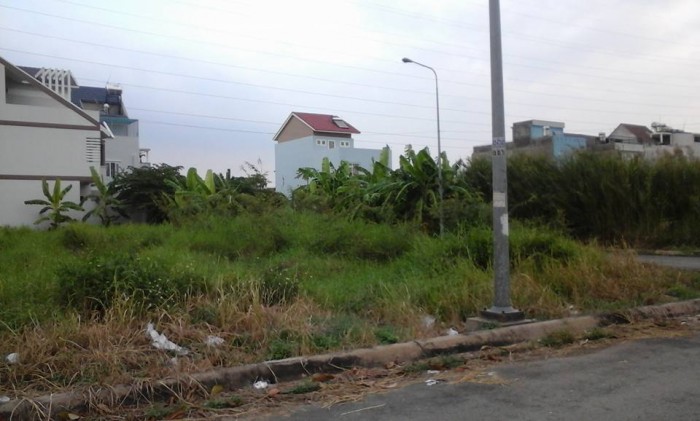 CẦN BÁN:  Bán đất biệt thự, homestay view đồi thông Khe Sanh, P10, Đà Lạt 725m2