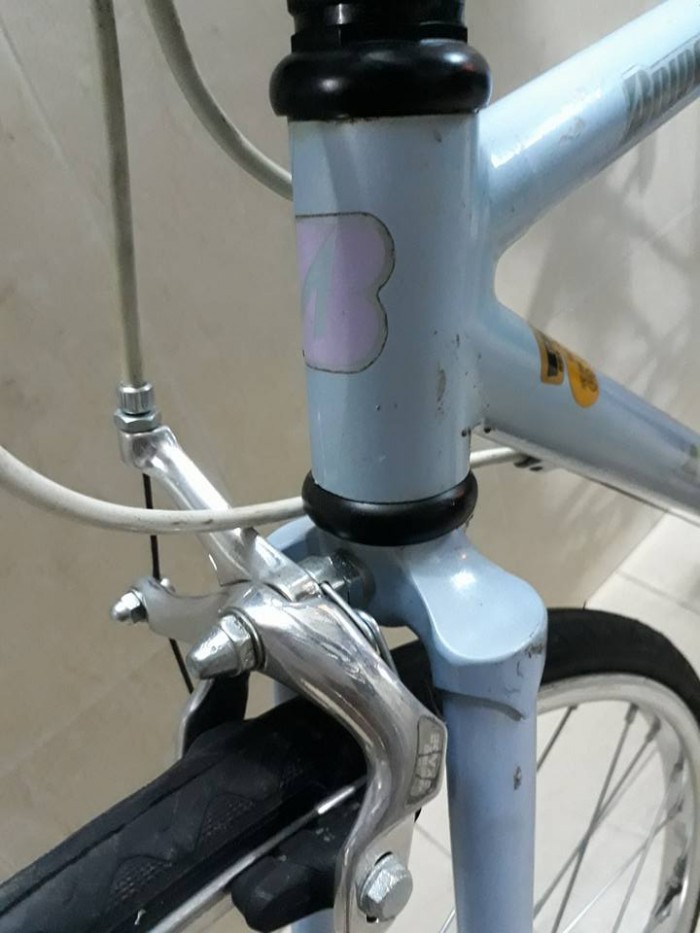 Xe đạp touring BRIGESTONE radac (Japan)