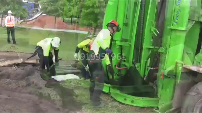 Xe bứng cây , trồng cây phục vụ công trình cây xanh đô thị