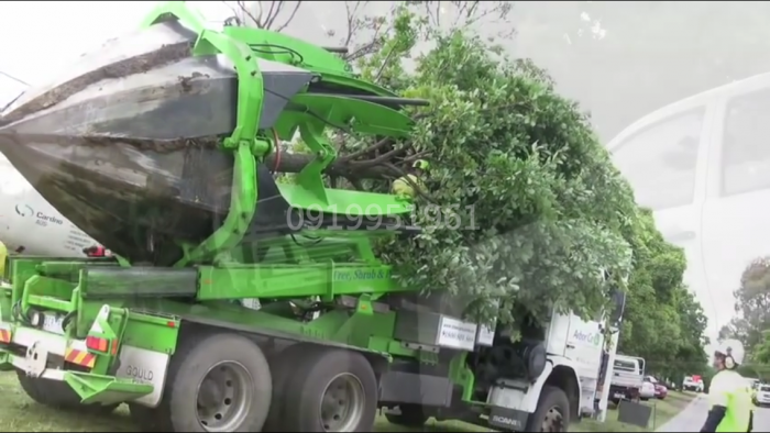 Xe bứng cây , trồng cây phục vụ công trình cây xanh đô thị