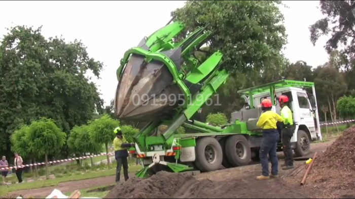 Xe bứng cây , trồng cây phục vụ công trình cây xanh đô thị