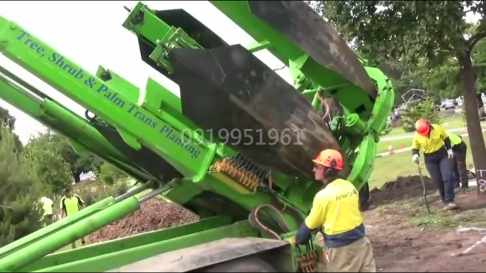 Xe bứng cây , trồng cây phục vụ công trình cây xanh đô thị