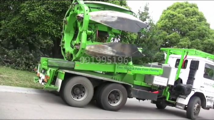 Xe bứng cây , trồng cây phục vụ công trình cây xanh đô thị