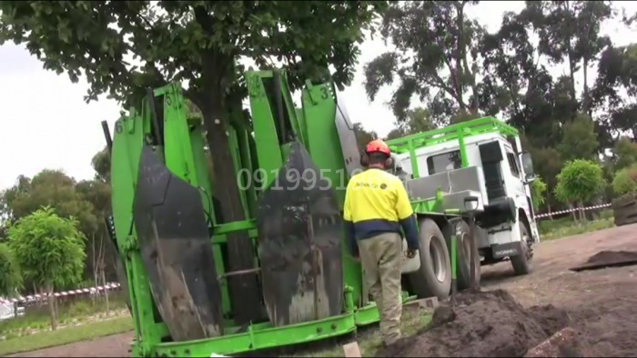 Xe bứng cây , trồng cây phục vụ công trình cây xanh đô thị