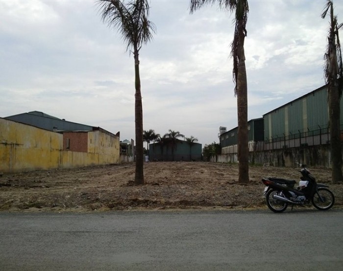 Cần bán đất xây trọ hoặc xây xưởng - gần 6 KCN Đường Trần Văn Giàu sổ hồng riêng, chính chủ, thổ cư