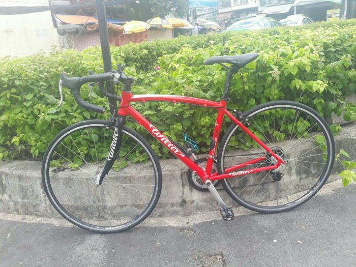 Road WILIER triestina italia .xe bãi nhật