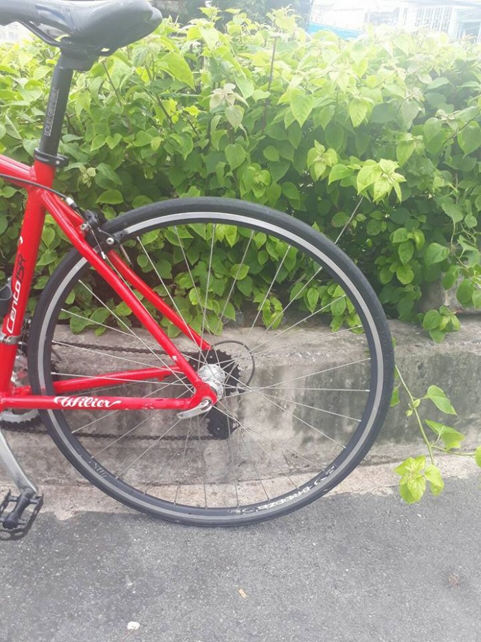 Road WILIER triestina italia .xe bãi nhật