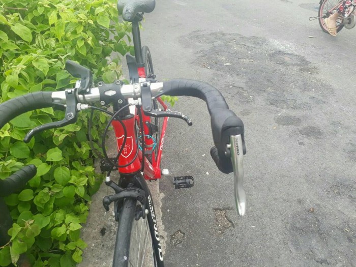 Road WILIER triestina italia .xe bãi nhật
